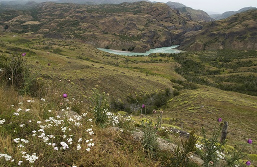 The Baker River near proposed dam site.