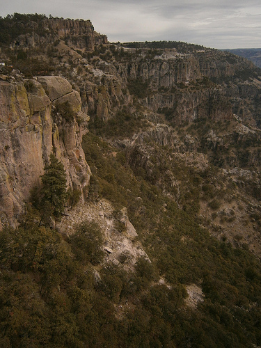 View of Copper Canyon from Divisadero